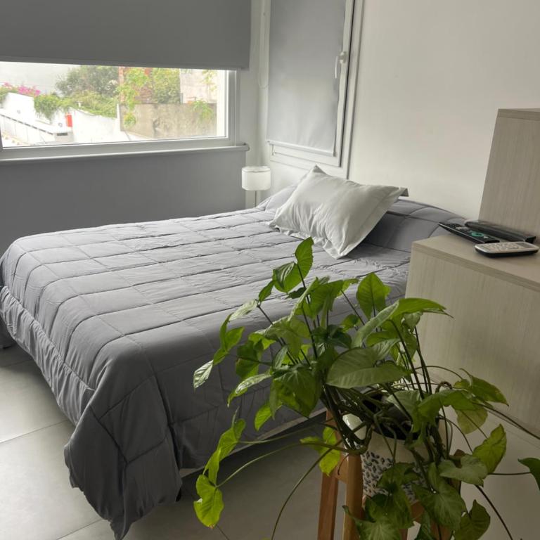 Moderno Mono ambiente - Apartamento de 1 dormitorio - 9