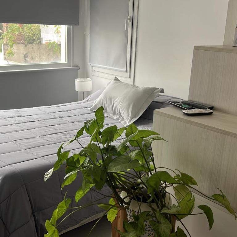 Moderno Mono ambiente - Apartamento de 1 dormitorio - 10
