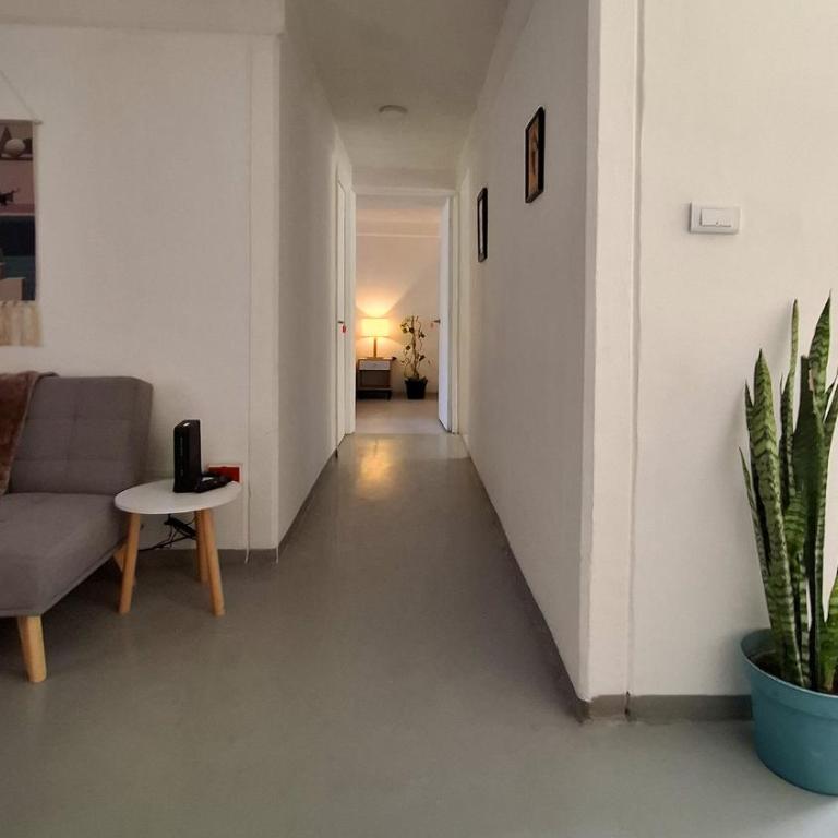 Apartamento completo en planta baja cerca del aeropuerto y del centro - Apartment - Ground Floor - 4