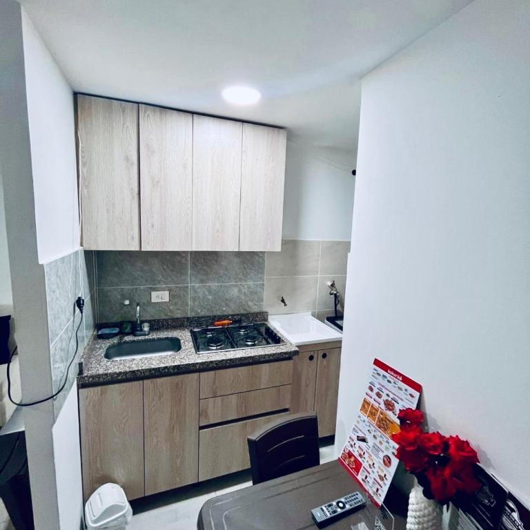 Acogedor apartamento en Ibague, central y nuevo - Apartamento de 1 dormitorio - 11