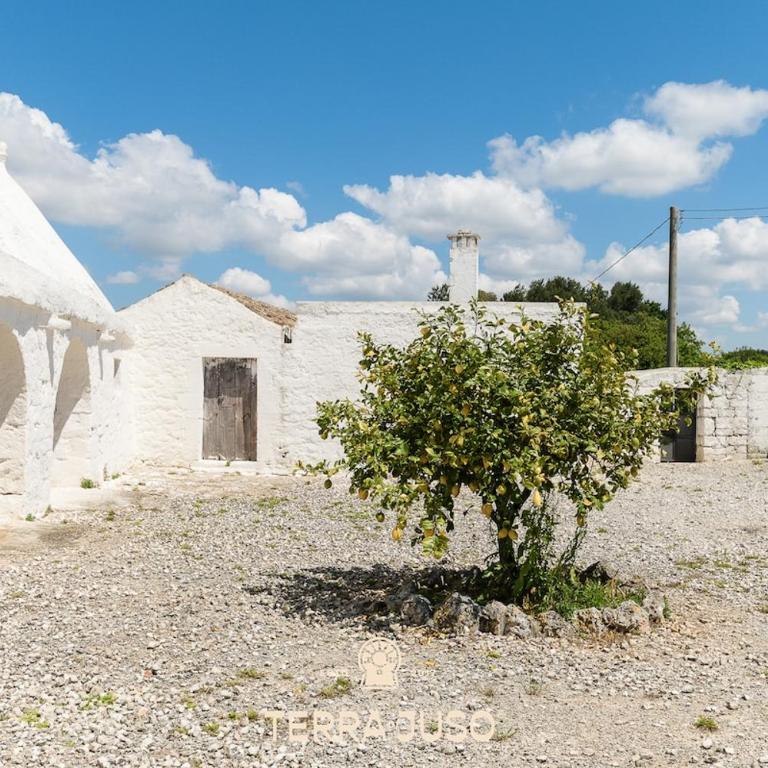 Masseria del Poeta - Three-Bedroom Villa - 88