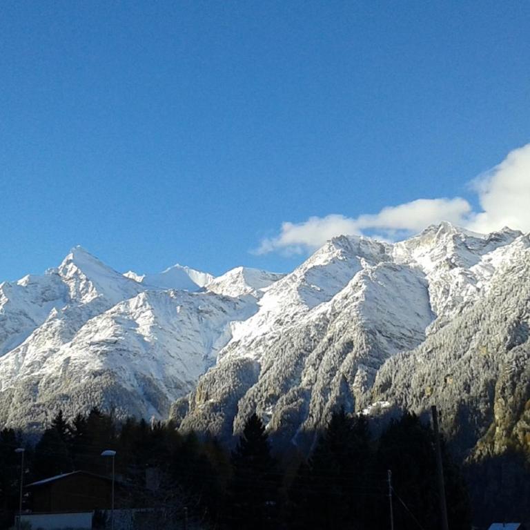 Chalet Schneevogul - Appartamento con 2 Camere da Letto - 30
