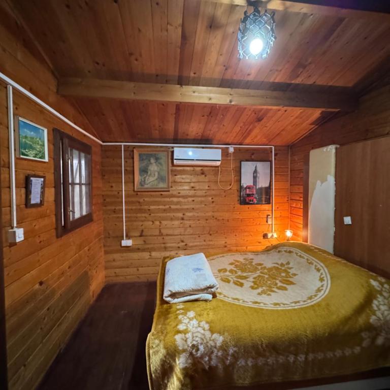 Florea Cottage - Kuća sa 1 Spavaćom Sobom - 12
