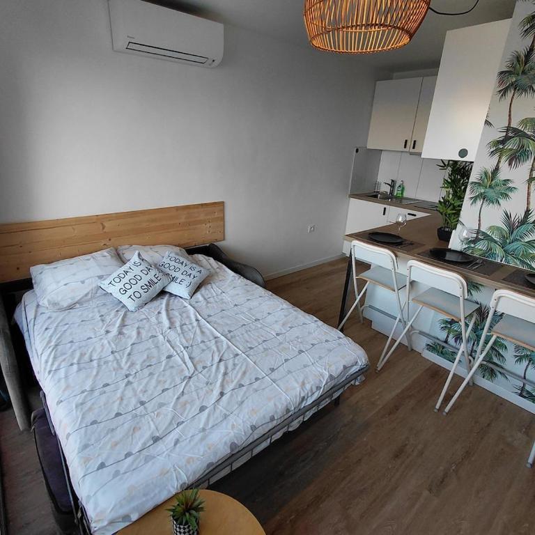Palavas Bel Appartement rénové 4 personnes avec clim Les Palmiers - Appartement 2 Chambres - 4