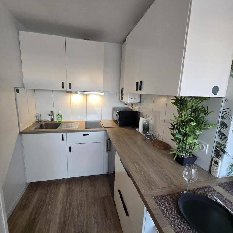 Palavas Bel Appartement rénové 4 personnes avec clim Les Palmiers - Appartement 2 Chambres - 7