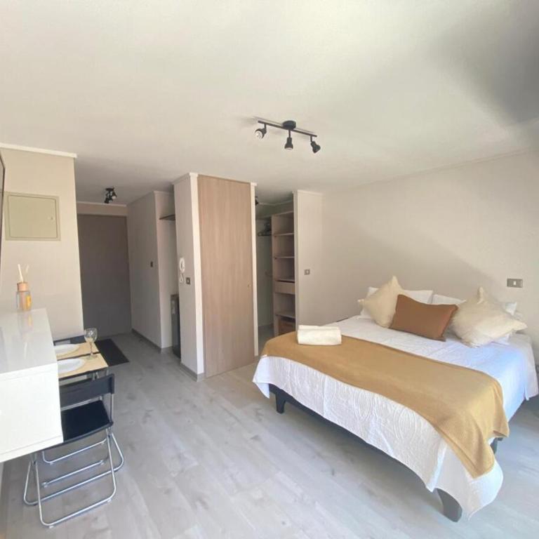 Moderno Home estudio en el corazón de Santiago - One-Bedroom Apartment - 11