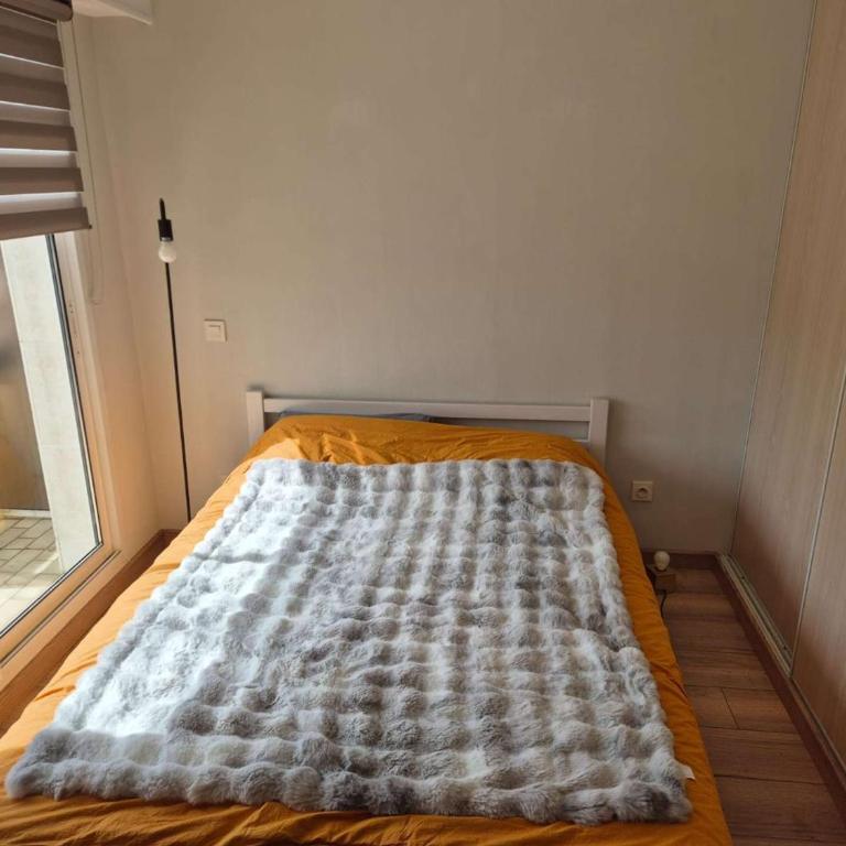 Appartement rénové avec grand balcon - FR-1-673-20 - Appartement - 6