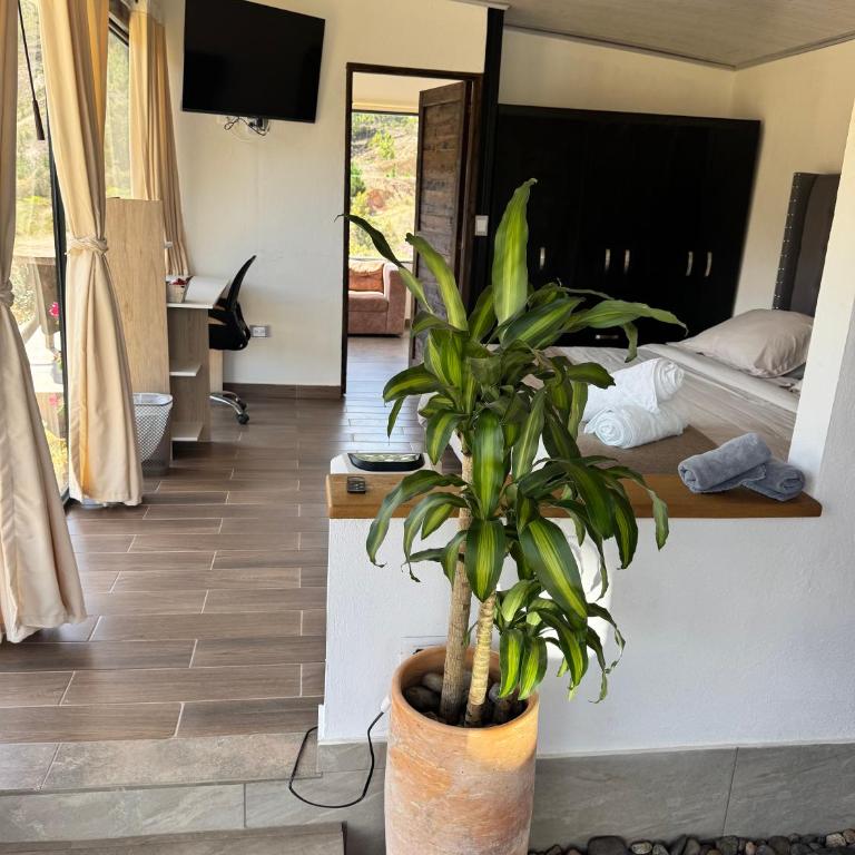 Glamping Eclipse Mirador Jarana Villa de Leyva - One-Bedroom House - 10