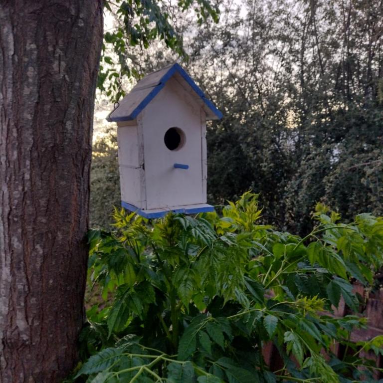 Quinta Pedro Sanabria - Casa de 2 dormitorios - 3