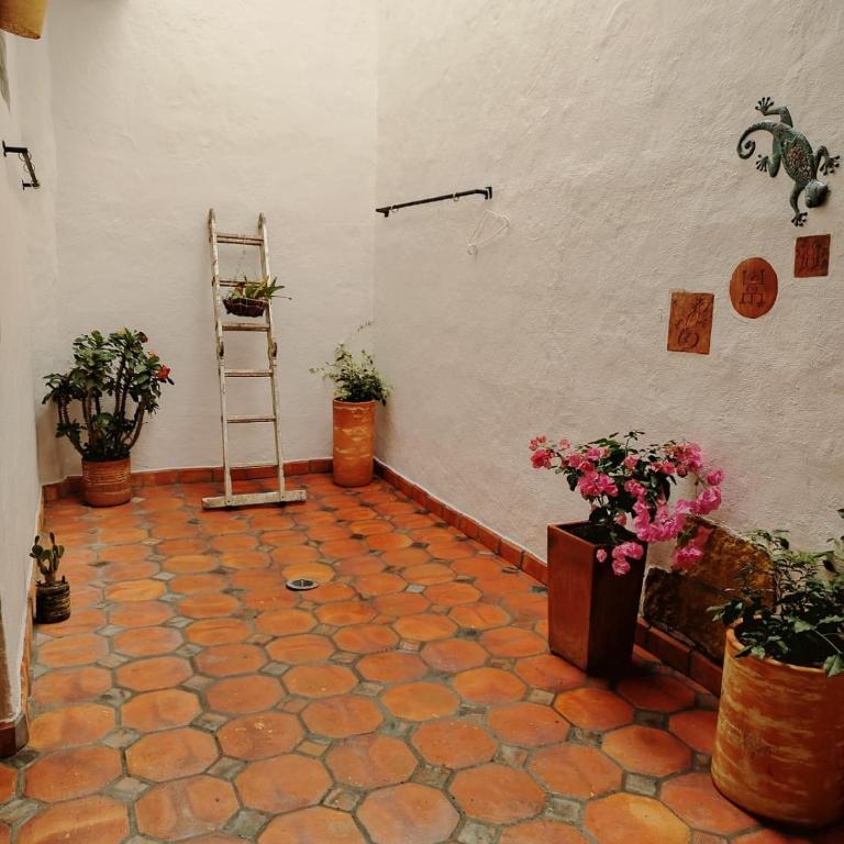 Lindo Apartamento Colonial VaraEchada - Three-Bedroom Deluxe Apartment - 15
