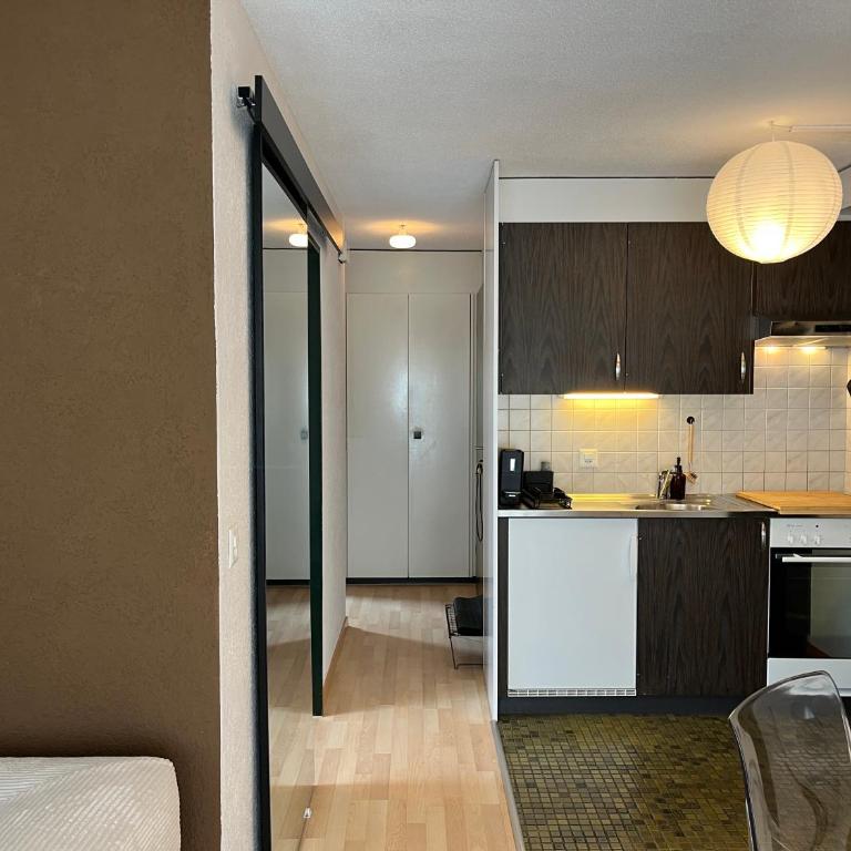Central apartment in Zermatt - Apartment mit 1 Schlafzimmer - 19