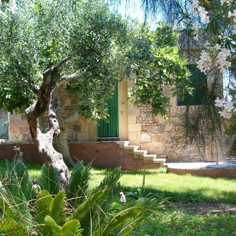 Villeriunite - Villa Papiro - Casa con 1 Camera da Letto - 17