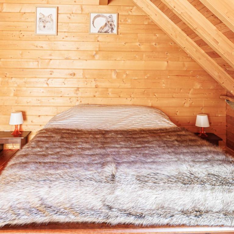 Grand Chalet Allos 12p - Chalet - 16