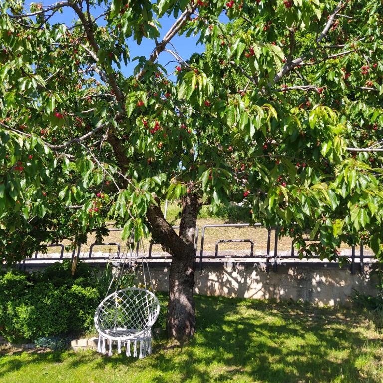 Casa Zucol - Apartamento de 1 dormitorio - 17