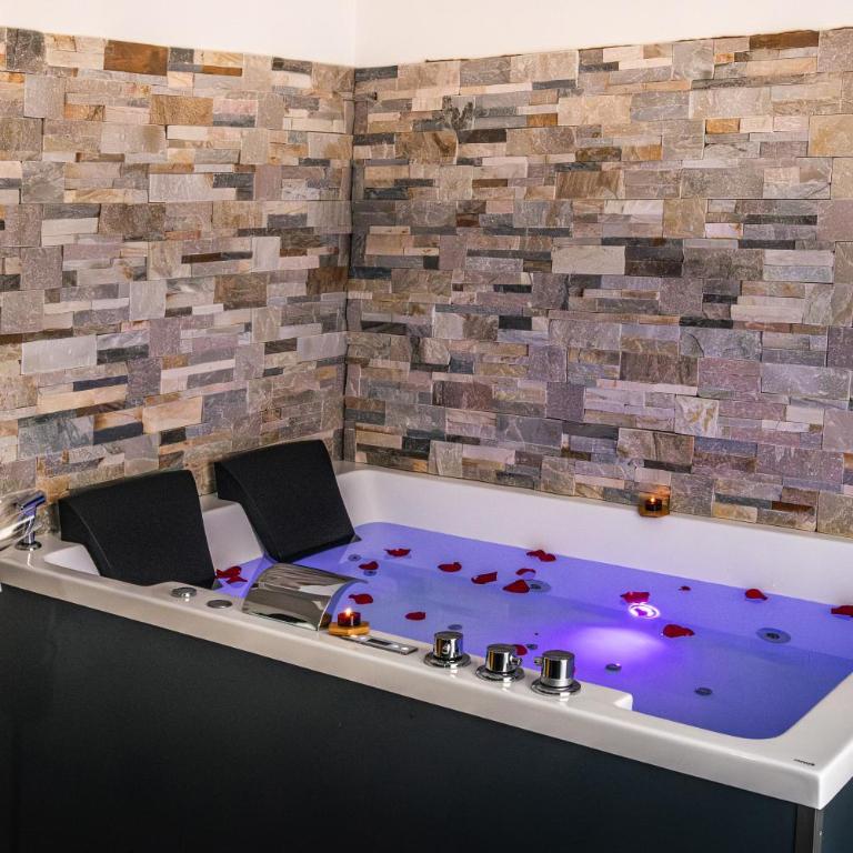 Suite&Spa -Love Room Jacuzzi&Sauna Privatif Vienne - Appartement 1 Chambre - 7