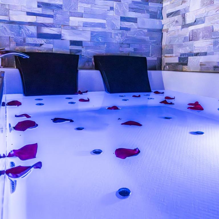 Suite&Spa -Love Room Jacuzzi&Sauna Privatif Vienne - Appartement 1 Chambre - 3