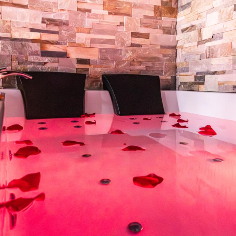 Suite&Spa -Love Room Jacuzzi&Sauna Privatif Vienne - Appartement 1 Chambre - 4