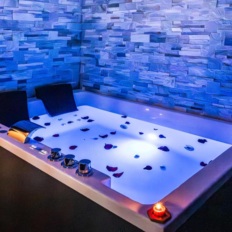Suite&Spa -Love Room Jacuzzi&Sauna Privatif Vienne - Appartement 1 Chambre - 1