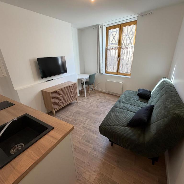 Le Petit Séjour, studio en hypercentre - Apartment - 1