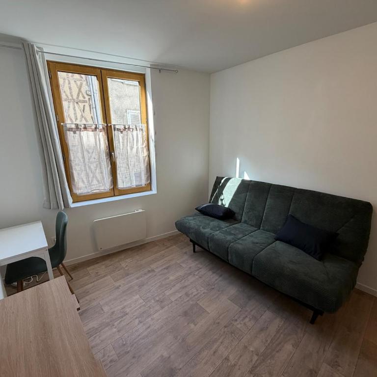 Le Petit Séjour, studio en hypercentre - Apartment - 2