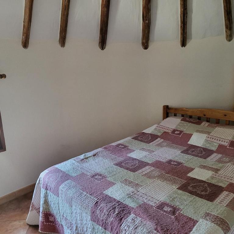 Cabane de gardian - Maison 1 Chambre - 9