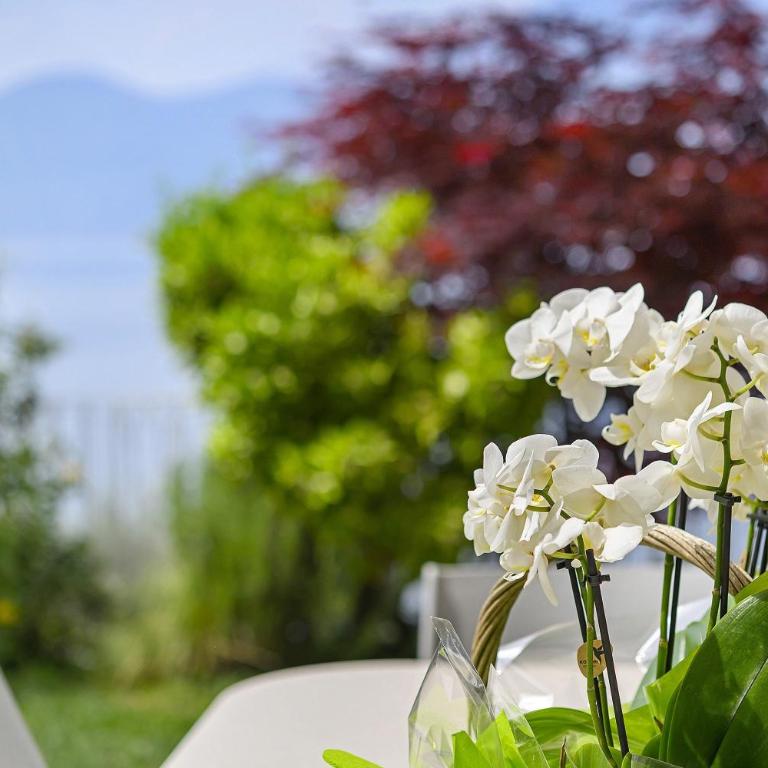 Residence La Mignon Oleandri - Two-Bedroom Deluxe Apartment with Garden View - 26