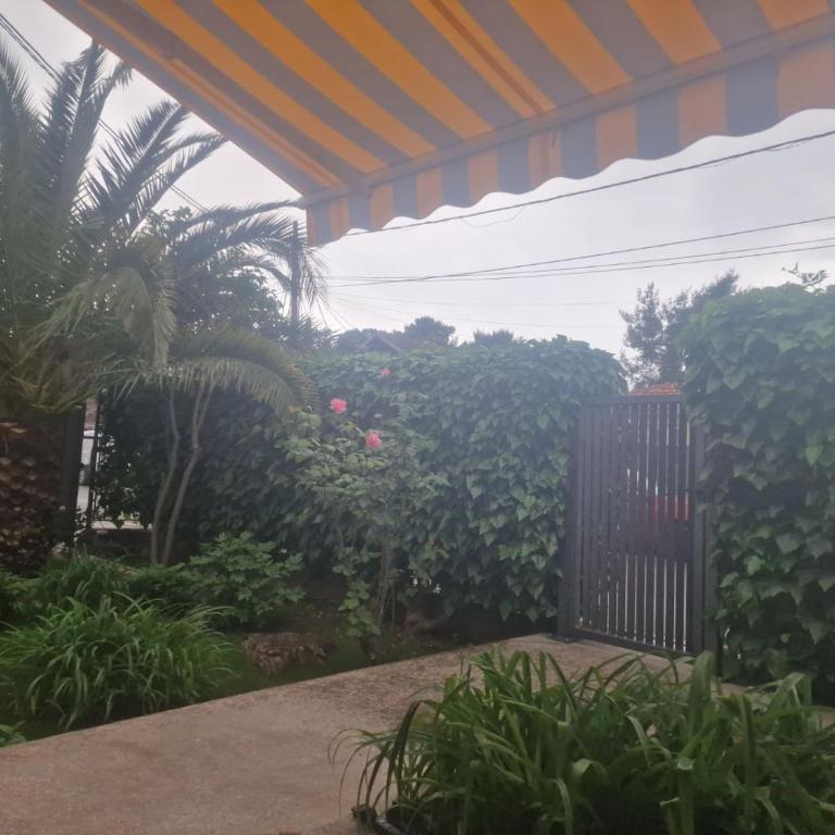 House in the greenery Podgorica - Two-Bedroom Apartment - 2