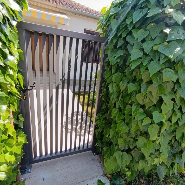 House in the greenery Podgorica - Two-Bedroom Apartment - 9