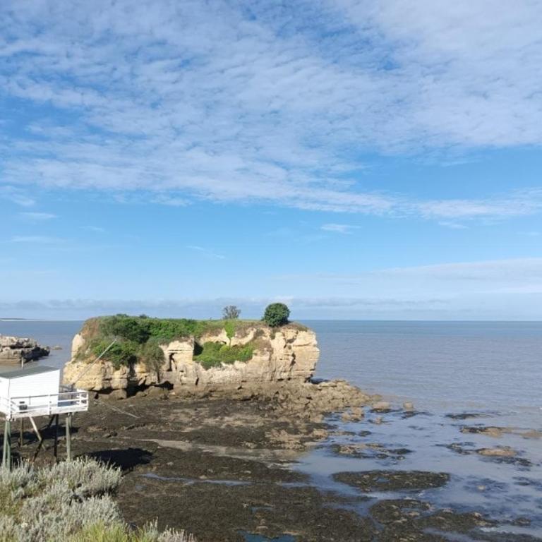 Meuble de charme avec spa 50 m de la plage de PONTAILLAC - Appartement 1 Chambre - 19