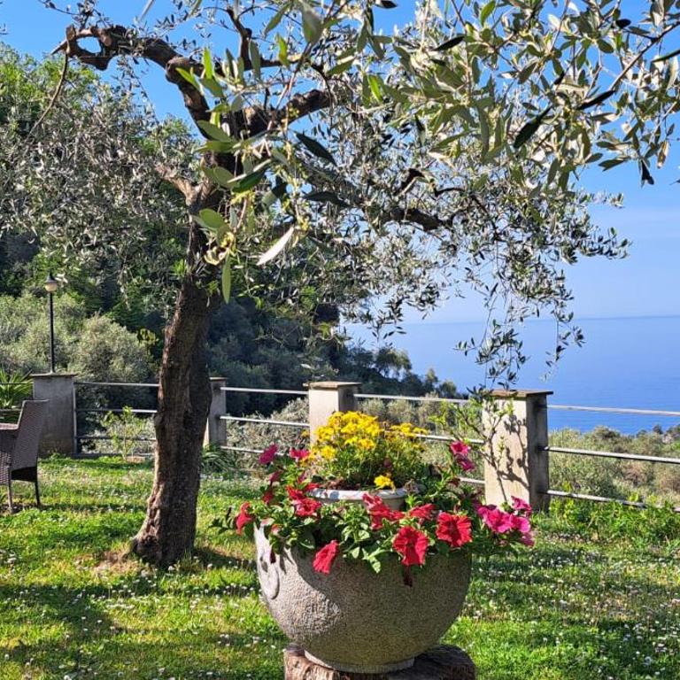 Casa Diana - Appartamento con 1 Camera da Letto - 2