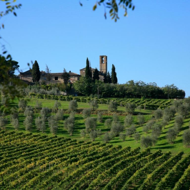 Camelia - Appartamento - 27
