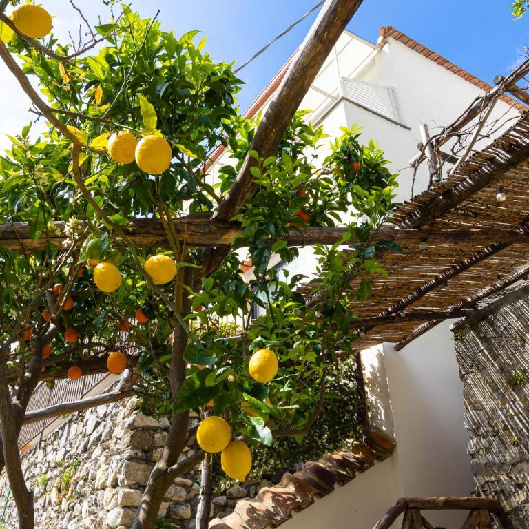 YourHome - Amami Positano - Appartamento con 1 Camera da Letto e Vista Mare - 45