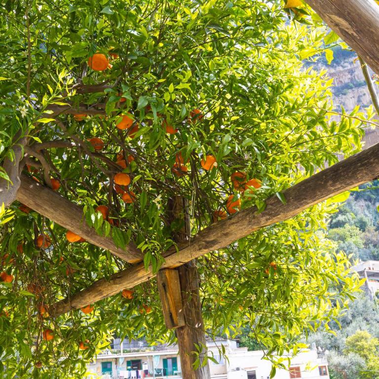YourHome - Amami Positano - Appartamento con 1 Camera da Letto e Vista Mare - 52