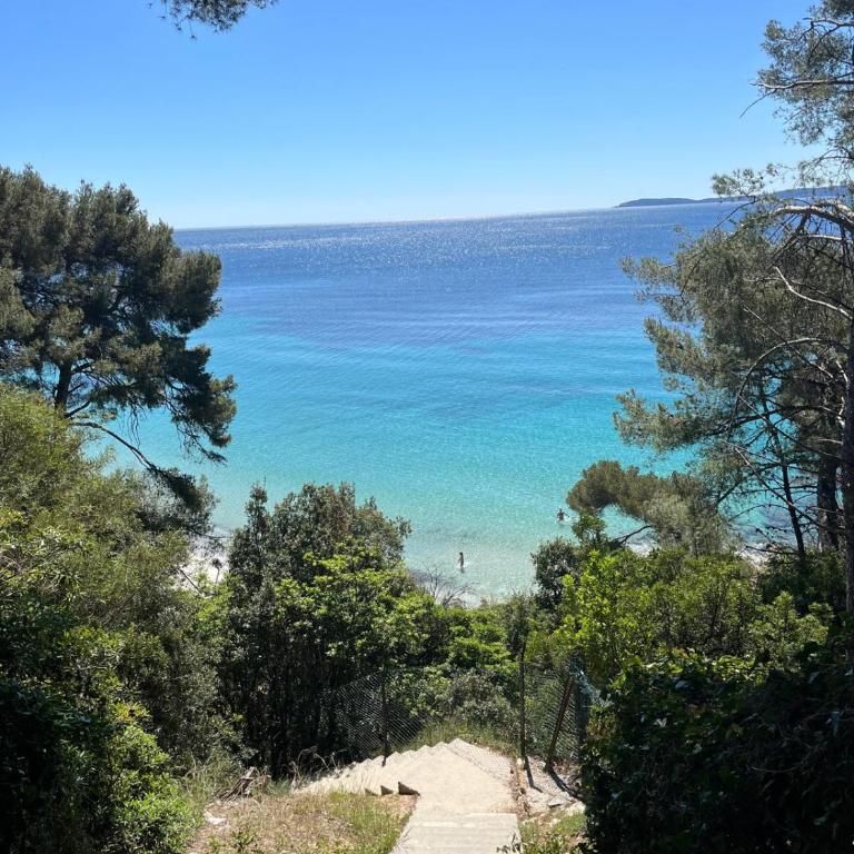 Charmant studio avec terrasse à 150m de la plage - Apartamento de 1 dormitorio - 6