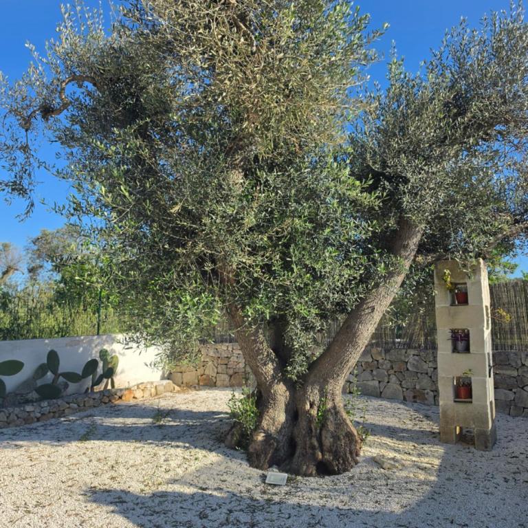 Casa Bianca - Villa con 2 Camere da Letto - 25