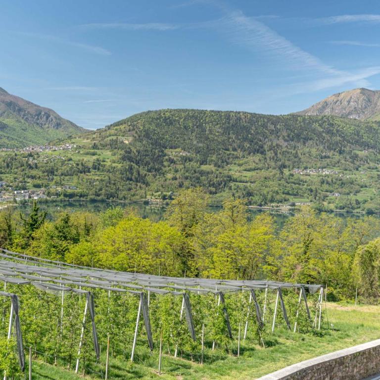 Casa Angeli, Tenna Ospitar - Appartamento con Vista Giardino - 39