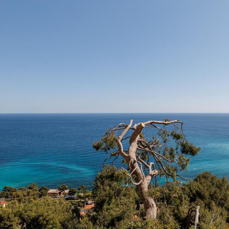 LES CITRONS D EZE 4P - Vue mer panoramique et calme absolu - au coeur des citronniers a Eze - Appartement - Vue sur Mer - 48