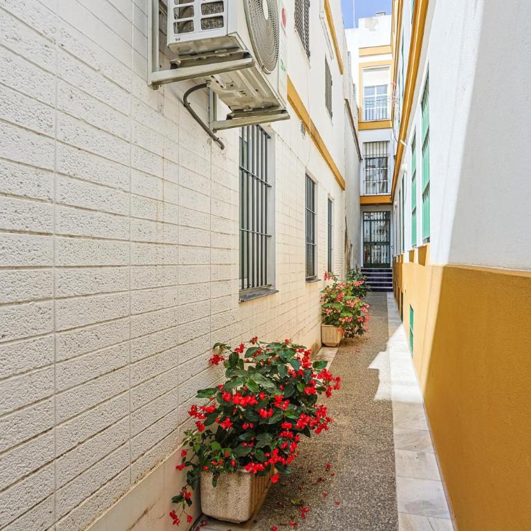 San Pedro 15 - Vacacional Sevilla - Apartamento - Planta baja - 21
