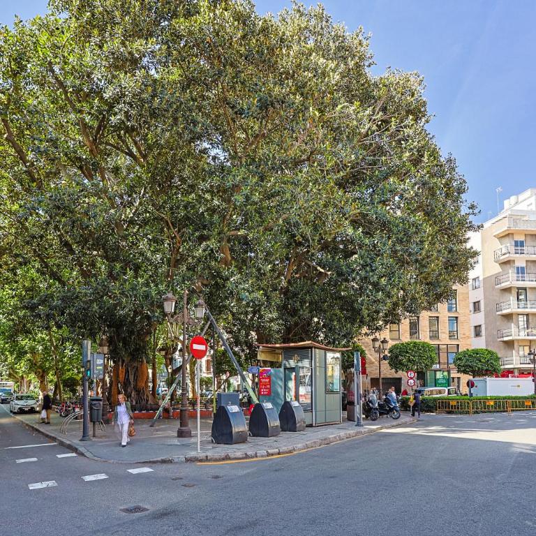 San Pedro 15 - Vacacional Sevilla - Apartamento - Planta baja - 43
