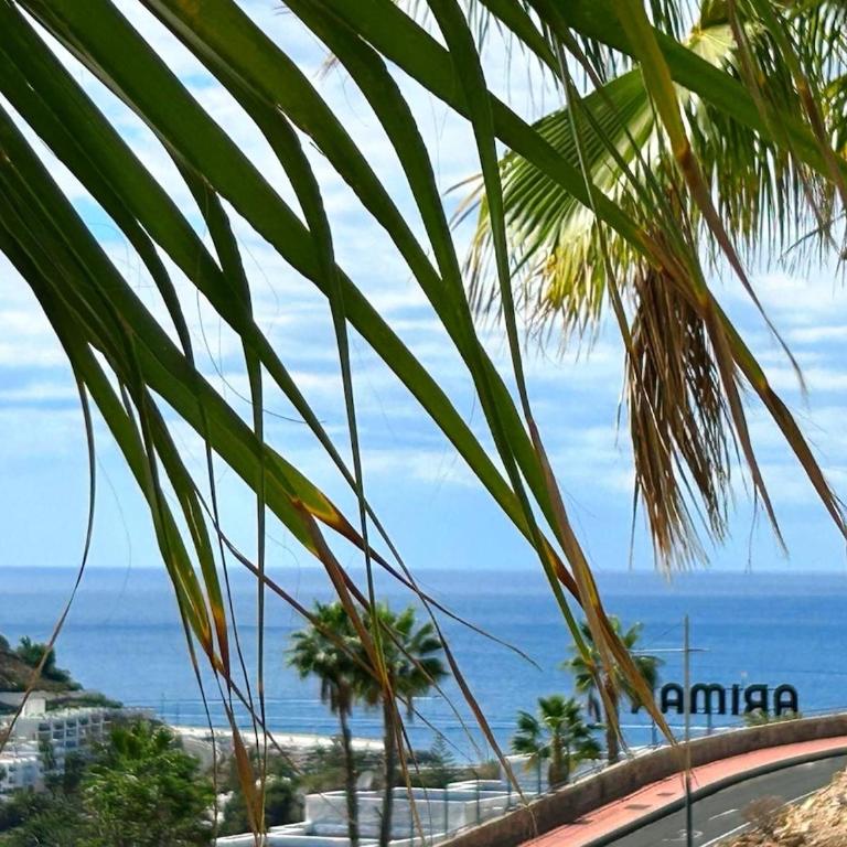 Isora Blanco - Apartamento de 1 dormitorio - 3