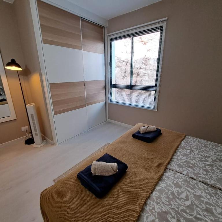 Isora Blanco - Apartamento de 1 dormitorio - 6