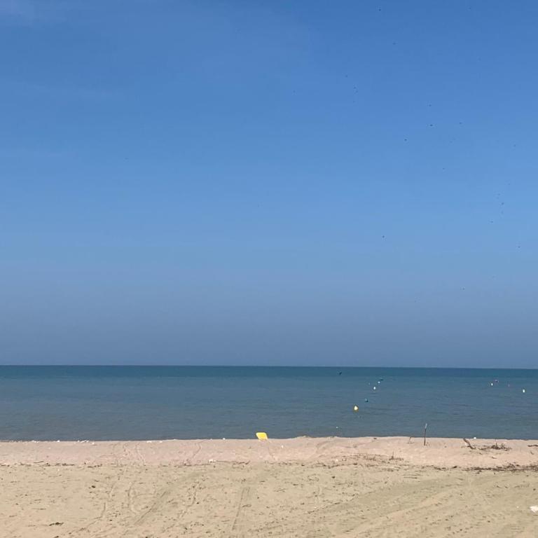 50 m de la plage - Appartement 1 Chambre - 18