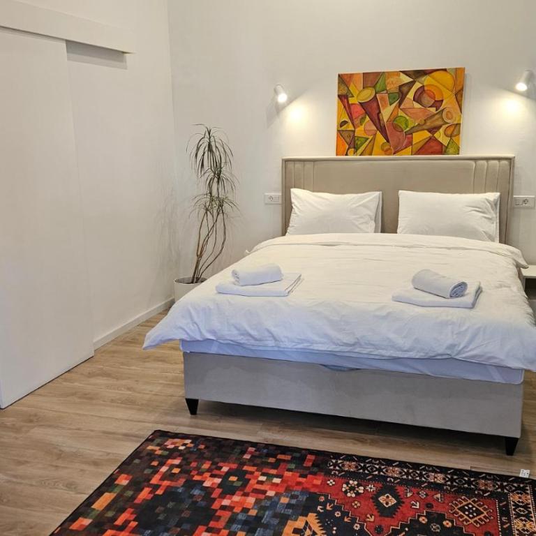 Sleep & Explore - Standardni Studio - 1
