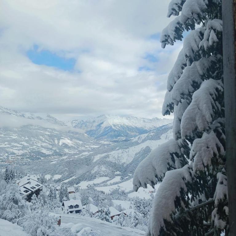 T4 - 3 chambres- ALPES DU SUD ETE ou HIVER PRA-LOUP - Appartement 3 Chambres - 14