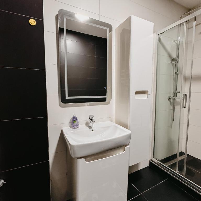 Naselje Bulevar Stup - One-Bedroom Apartment - 38