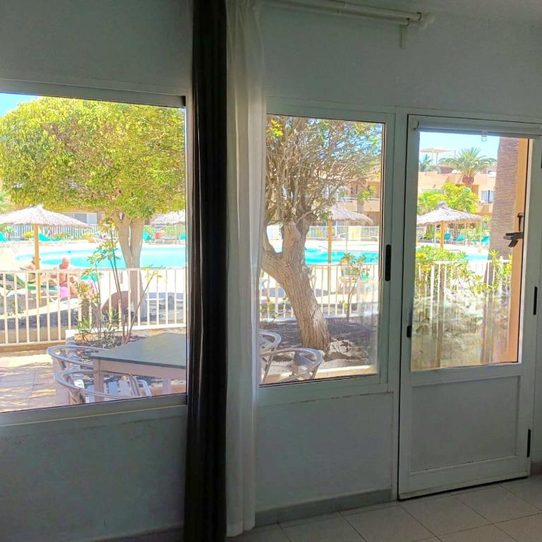 PoolViewZen-CorralejoPlaya - One-Bedroom Apartment - 11