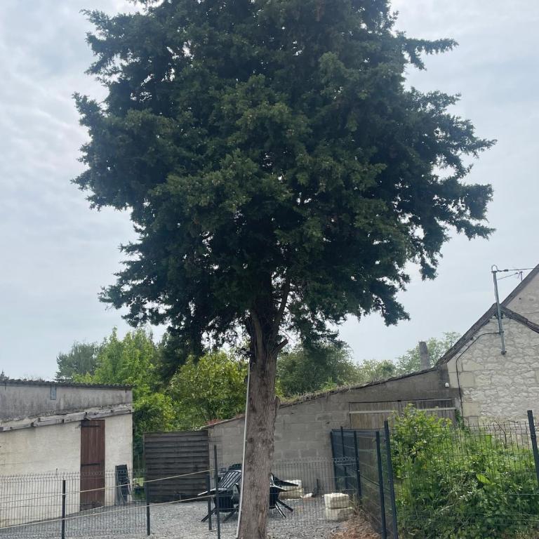 Maison le Grand Sapin 5 min du zoo de Beauval - Haus mit 2 Schlafzimmern - 37