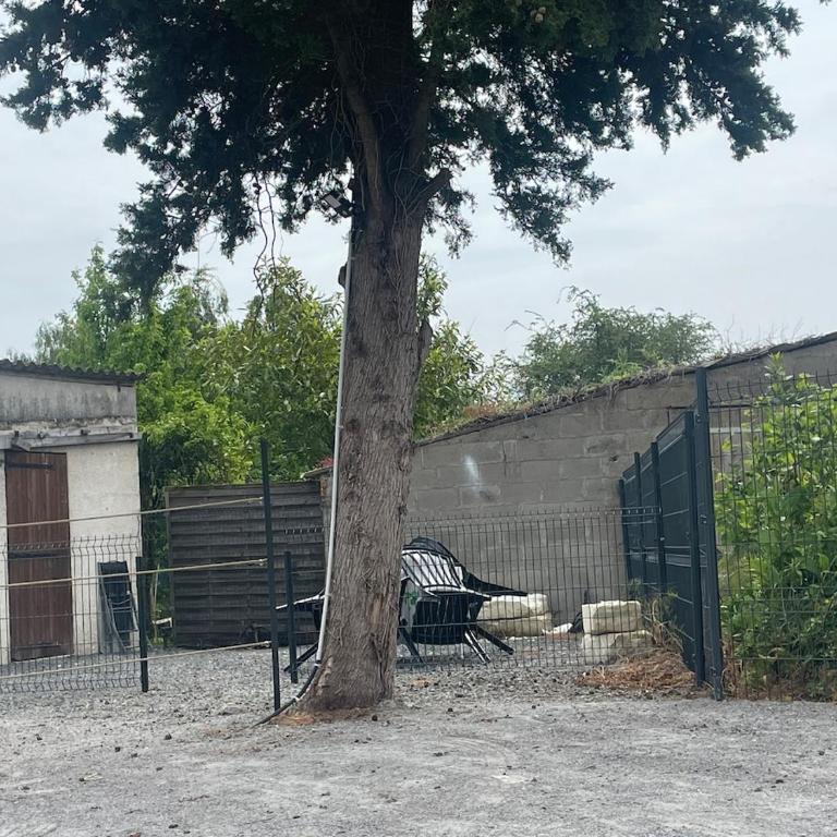 Maison le Grand Sapin 5 min du zoo de Beauval - Haus mit 2 Schlafzimmern - 40