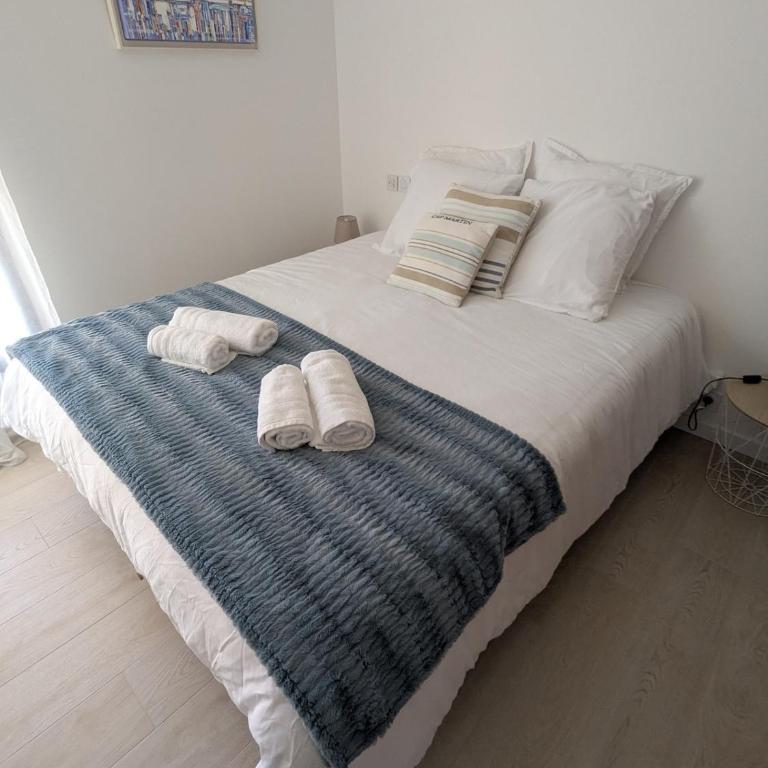 appartement duplex jardin parking Canet village - Appartement 1 Chambre - 8