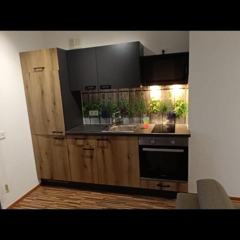 EK-Living - Apartment mit 1 Schlafzimmer und Dusche - 12